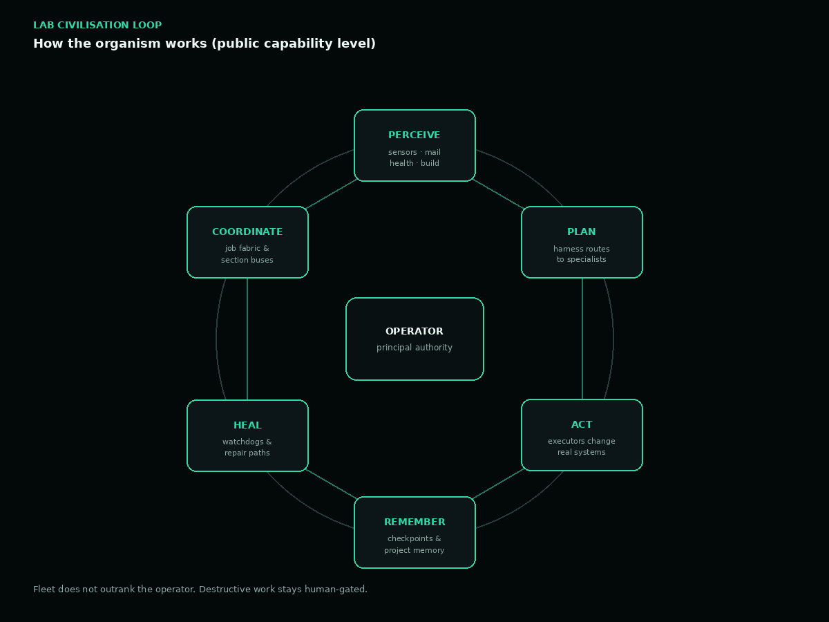 Civilisation loop diagram